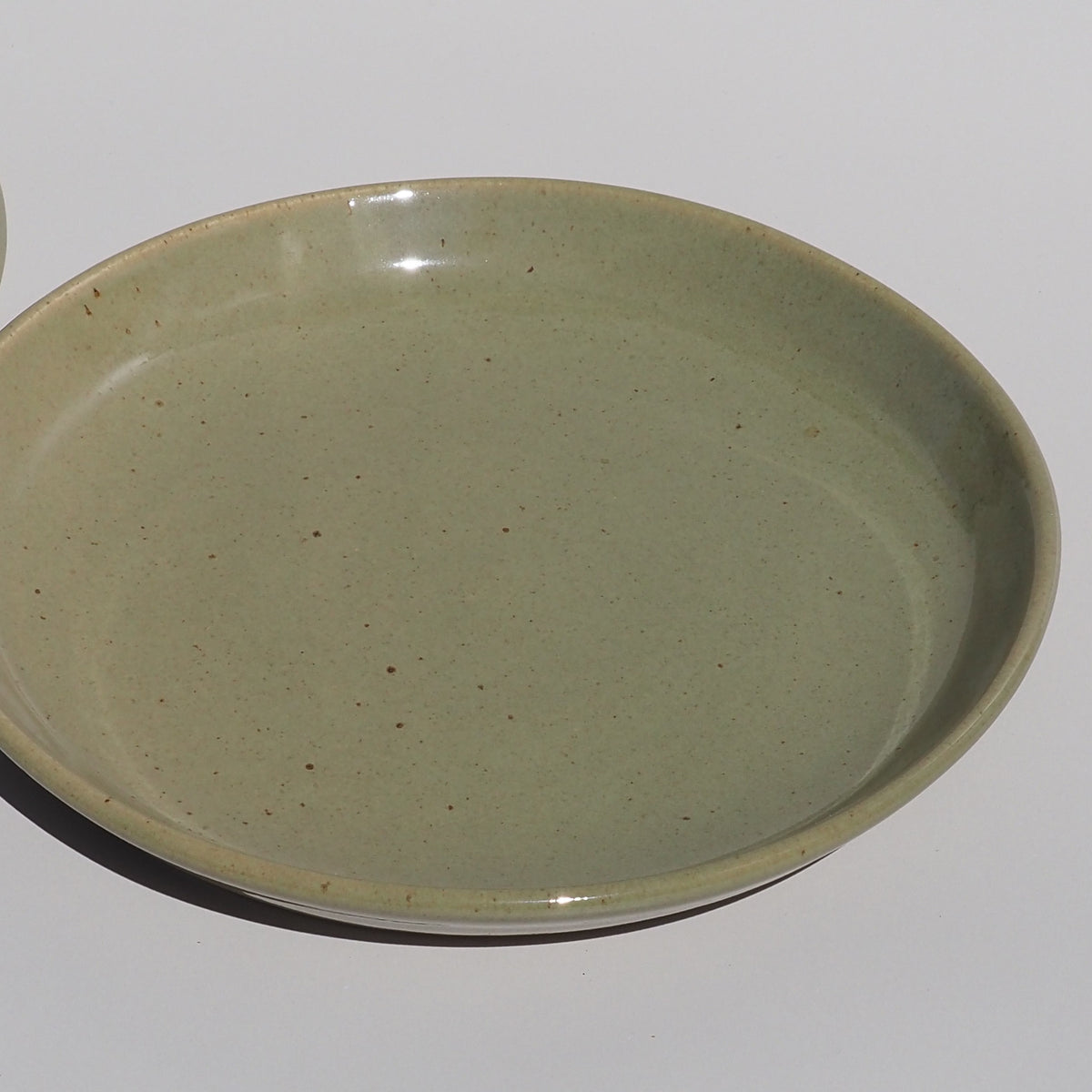 Dinner Plate