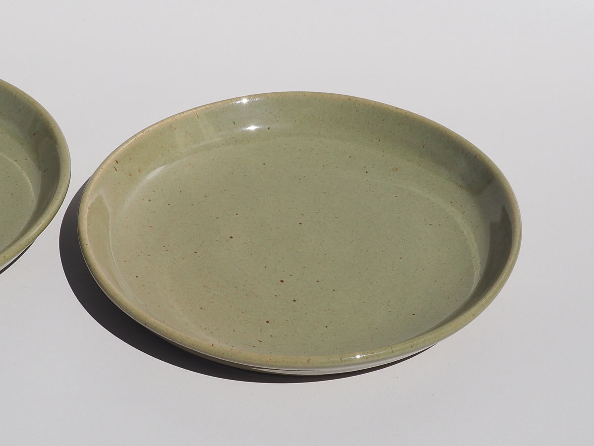 Dinner Plate