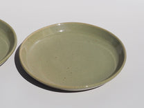 Dinner Plate