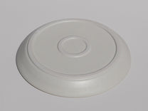 Dinner Plate