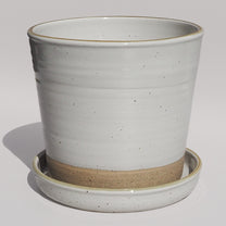 Planter XXL