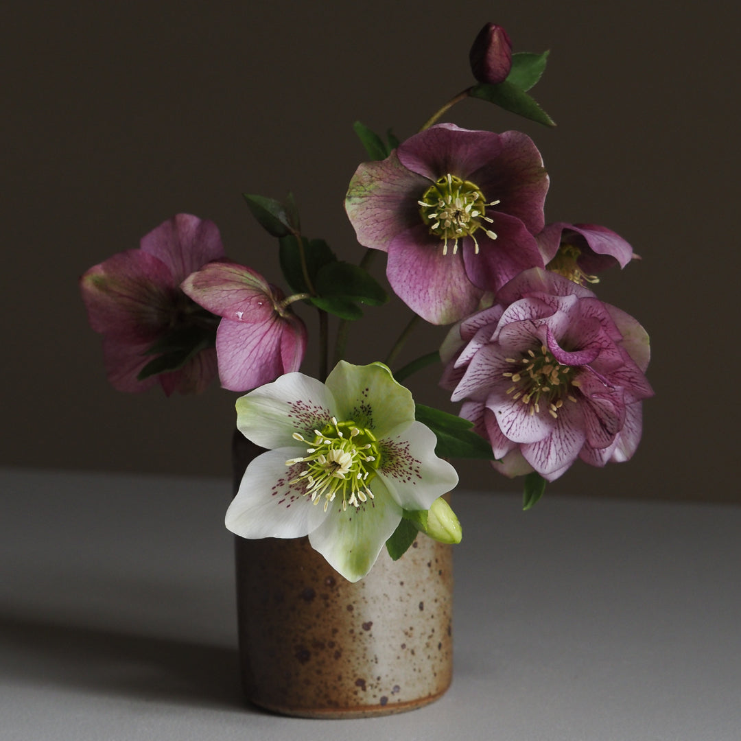 Kudo Vase
