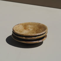 Pickle Plate