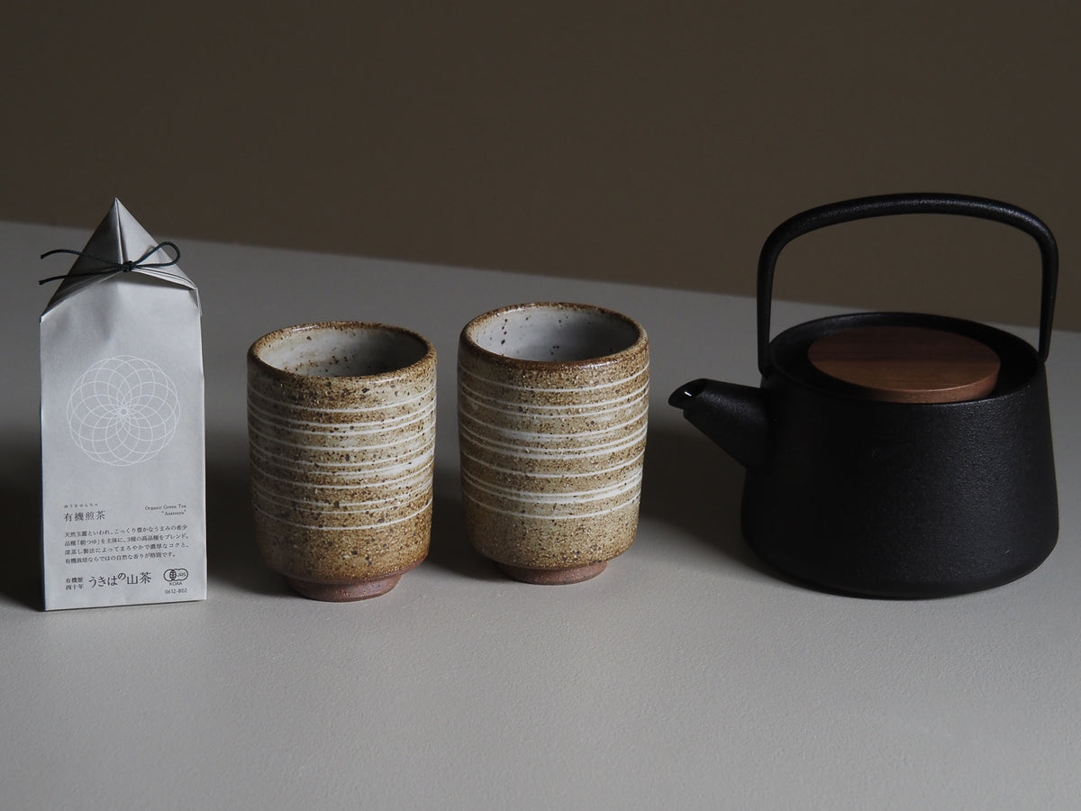 Tetu Teapot &amp; Yunomi Set